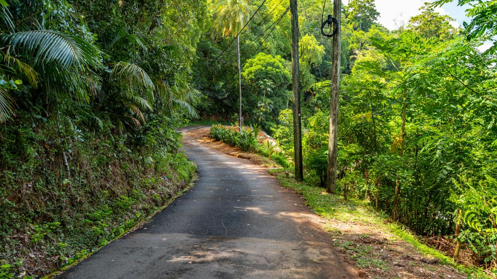 Photo 29: Casa Gem - Mahé (Seychelles)