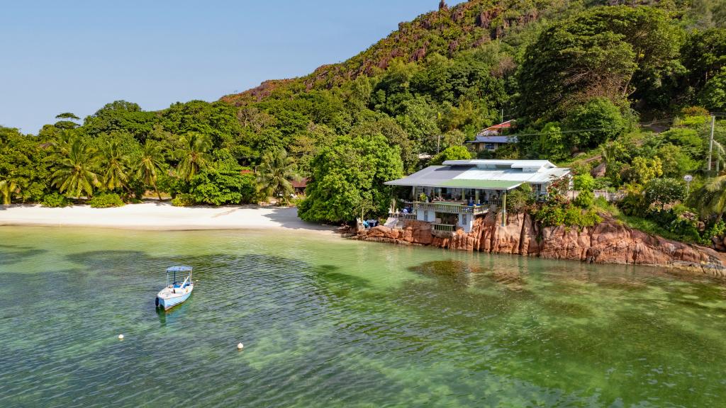 Savy's Place Image of Savy's Place