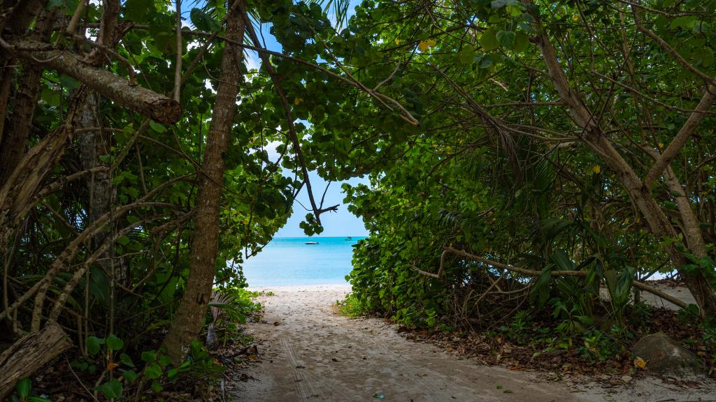 Photo 30: Anse La Mouche Villas - Mahé (Seychelles)