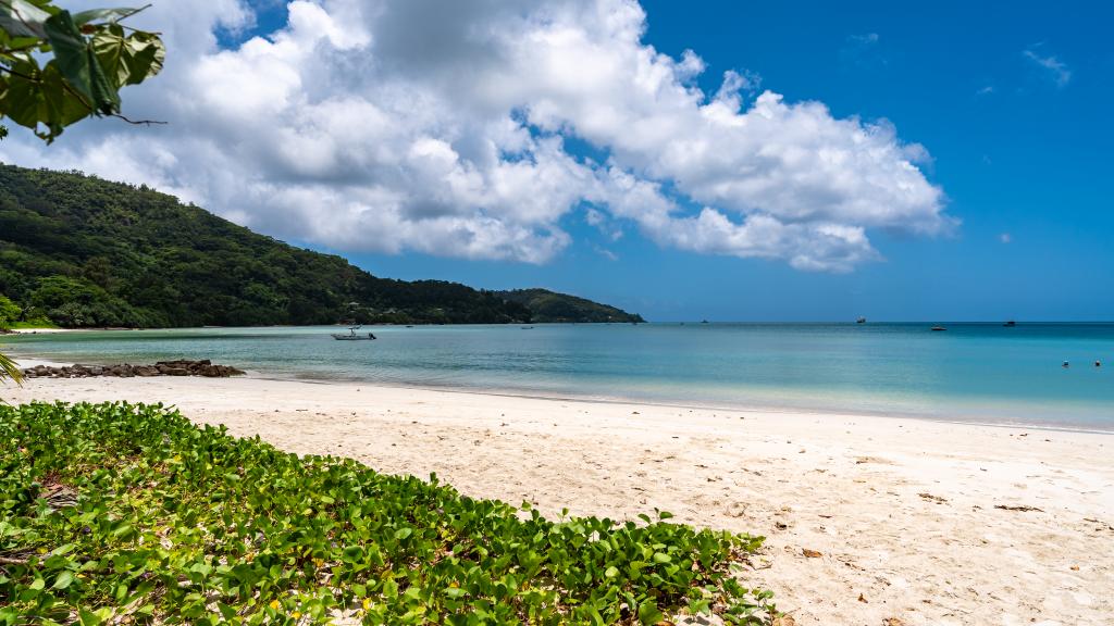 Photo 22: Anse La Mouche Villas - Mahé (Seychelles)