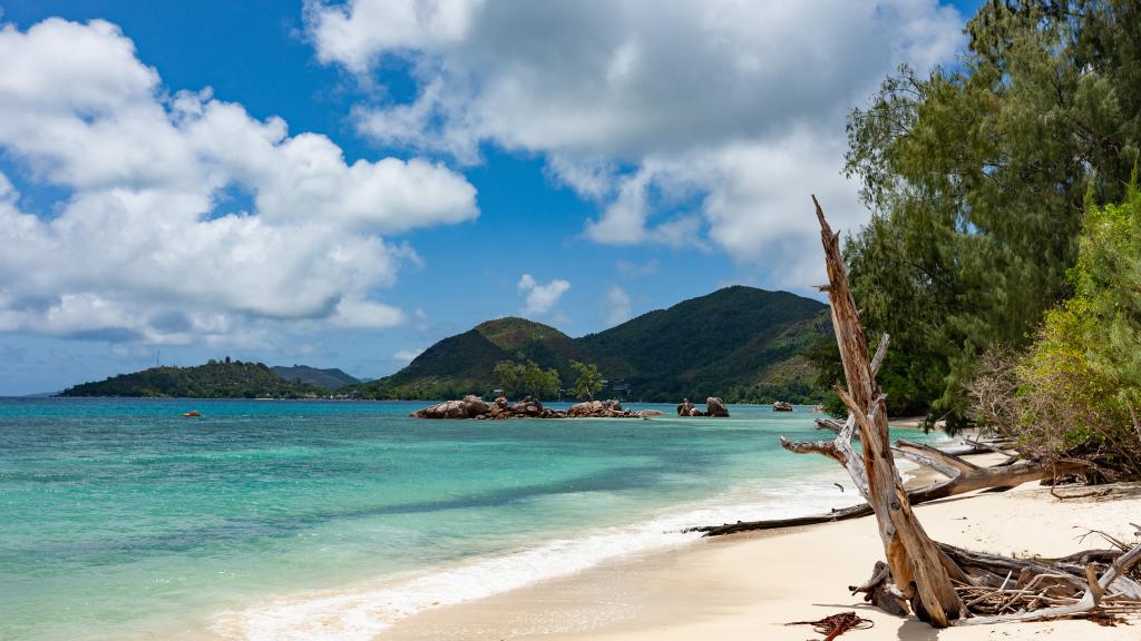 Foto 29: Anse Boudin Chalets & Villa - Praslin (Seychellen)