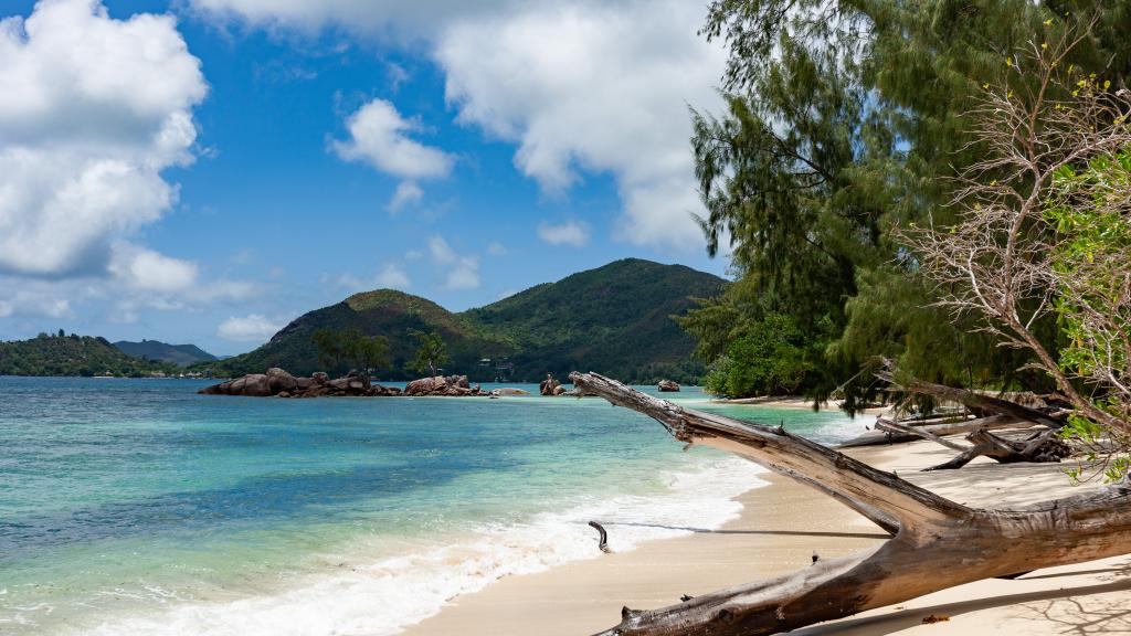 Foto 28: Anse Boudin Chalets & Villa - Praslin (Seychellen)