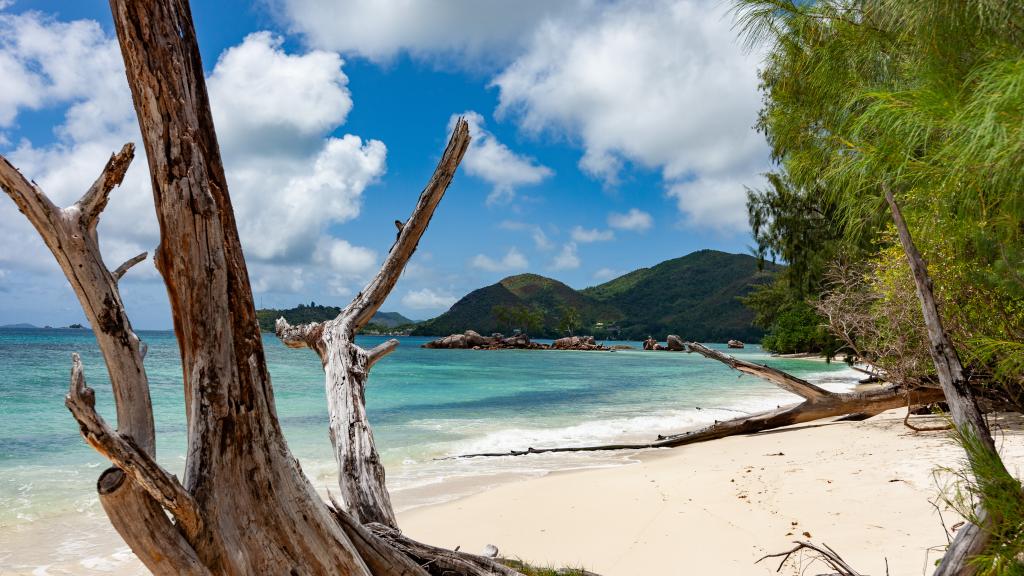 Foto 27: Anse Boudin Chalets & Villa - Praslin (Seychellen)