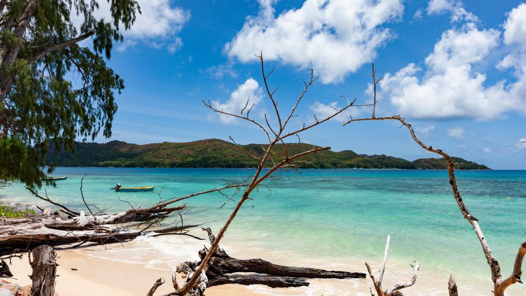 Foto 23: Anse Boudin Chalets & Villa - Praslin (Seychellen)