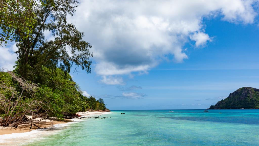 Foto 21: Anse Boudin Chalets & Villa - Praslin (Seychellen)