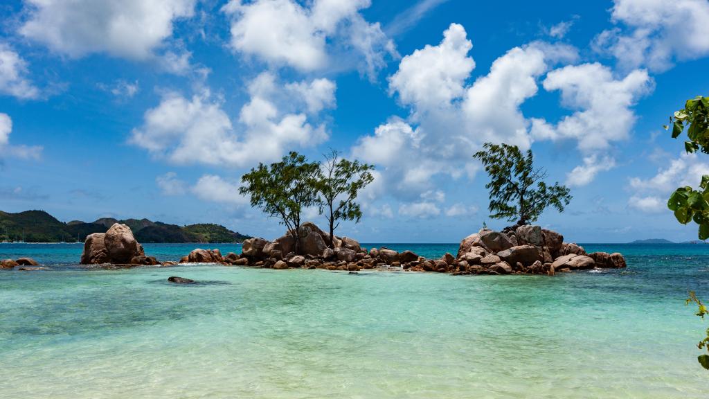 Foto 19: Anse Boudin Chalets & Villa - Praslin (Seychellen)