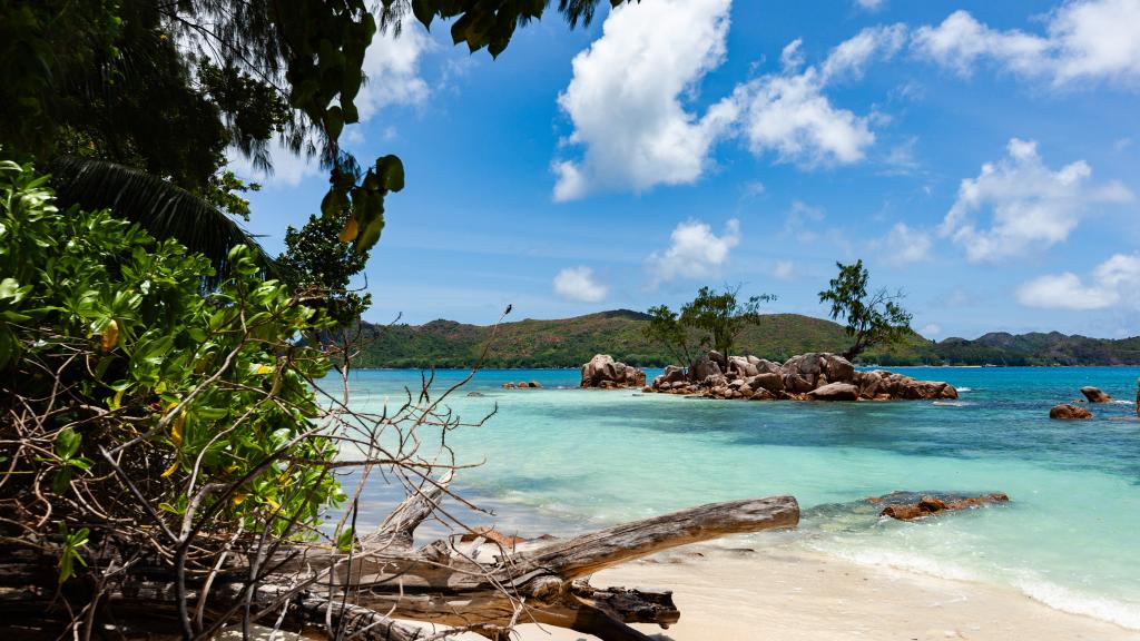 Foto 16: Anse Boudin Chalets & Villa - Praslin (Seychellen)