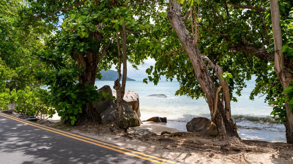 Photo 18: Summer Sand Holiday Apartments - Mahé (Seychelles)