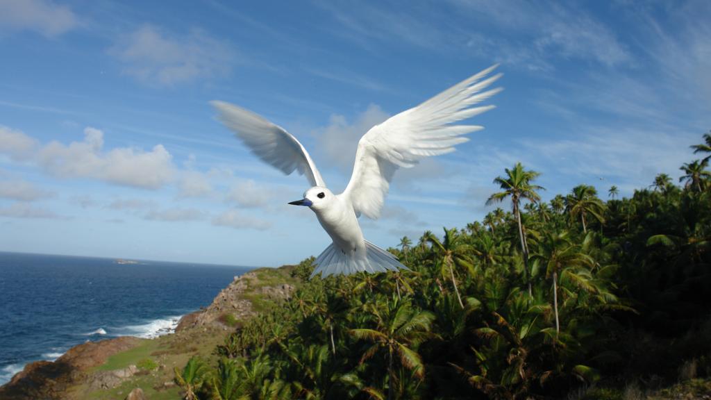 Photo 96: Fregate Island Private - Fregate Island (Seychelles)