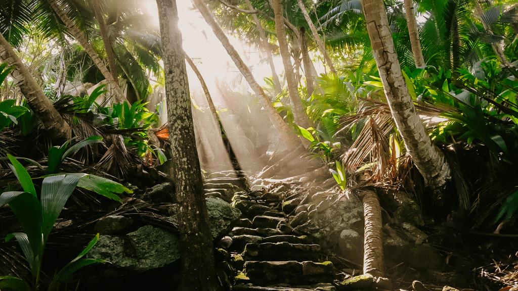 Photo 19: Fregate Island Private - Fregate Island (Seychelles)