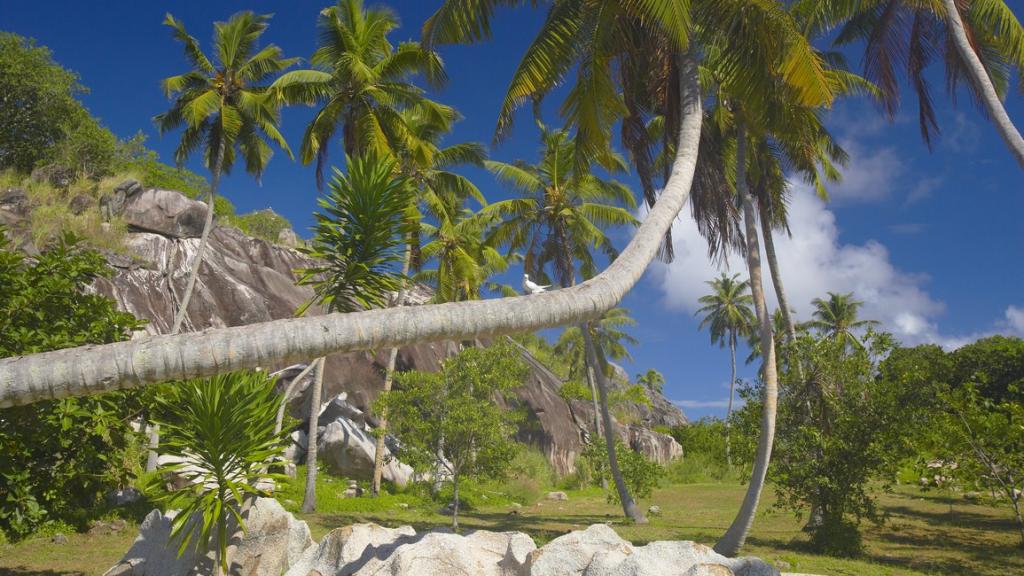 Photo 31: Fregate Island Private - Fregate Island (Seychelles)