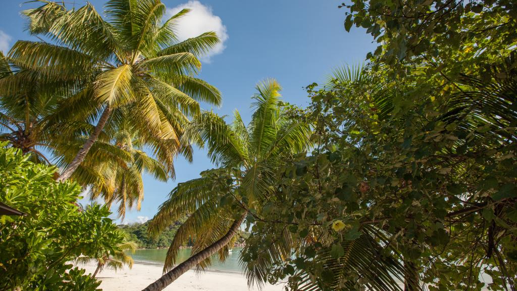 Foto 7: Villa Bananier - Praslin (Seychellen)