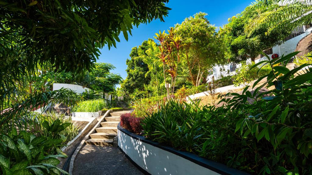 Photo 18: The Salty Palms - Mahé (Seychelles)