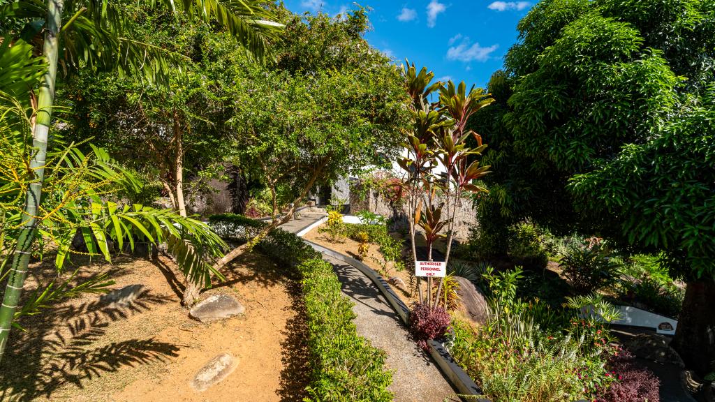 Photo 17: The Salty Palms - Mahé (Seychelles)