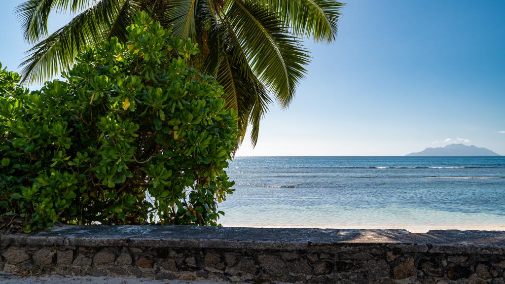 Photo 47: The Salty Palms - Mahé (Seychelles)