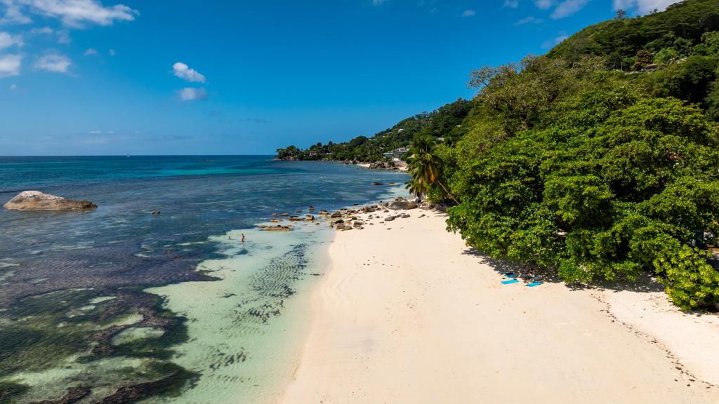 Photo 50: The Salty Palms - Mahé (Seychelles)