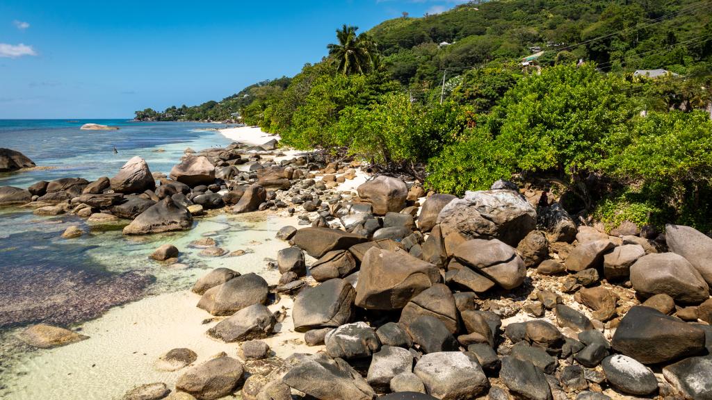 Photo 42: The Salty Palms - Mahé (Seychelles)