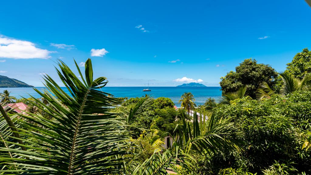 Photo 110: The Salty Palms - Mahé (Seychelles)