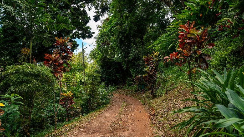 Foto 38: Cote Cedres - Mahé (Seychellen)