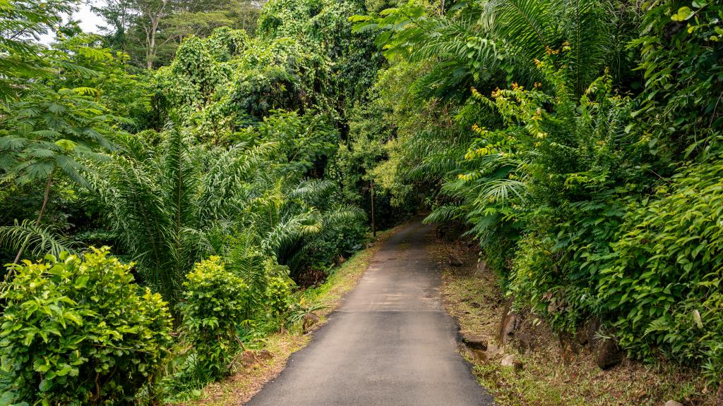 Foto 41: Cote Cedres - Mahé (Seychellen)