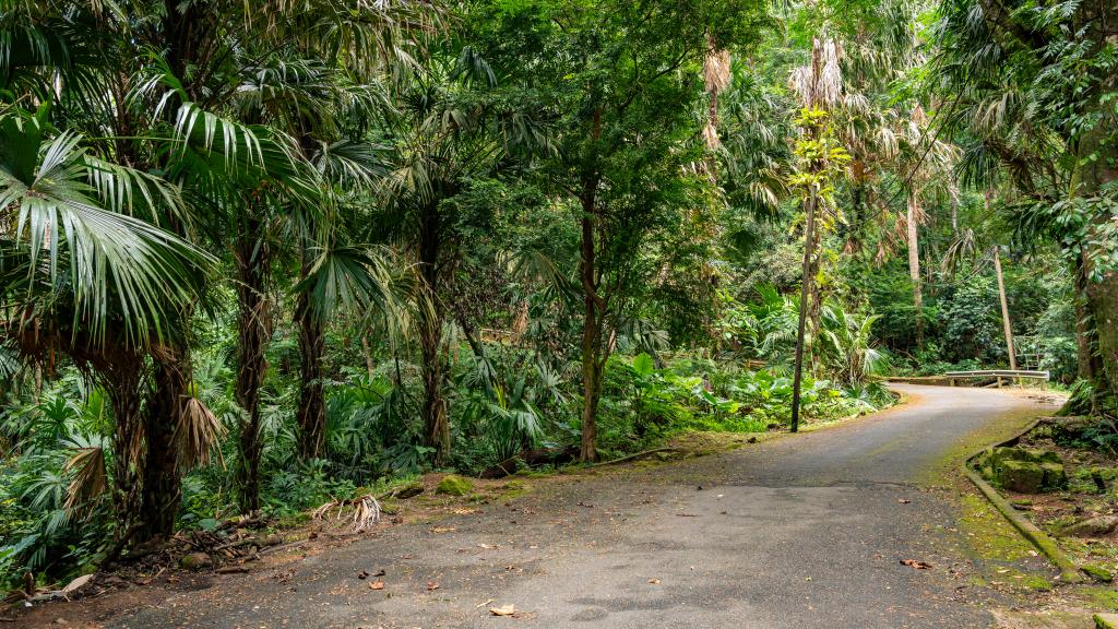 Foto 40: Cote Cedres - Mahé (Seychellen)