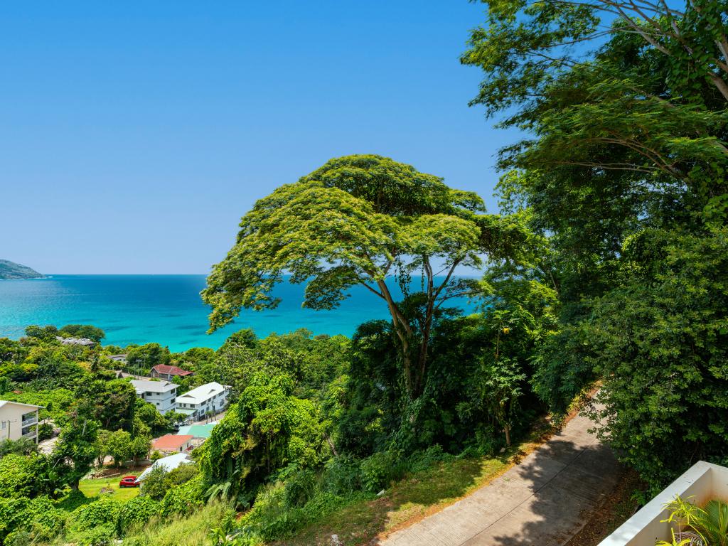 Tropical Secrets Holiday Apartments - Foto 9