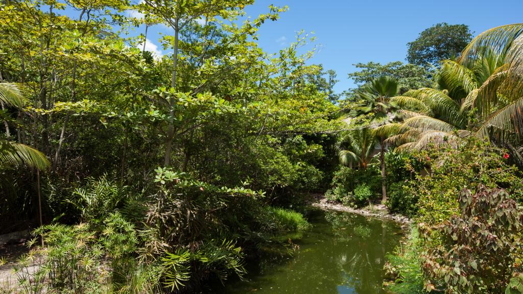 Foto 70: Le Domaine de L'Orangeraie - La Digue (Seychellen)