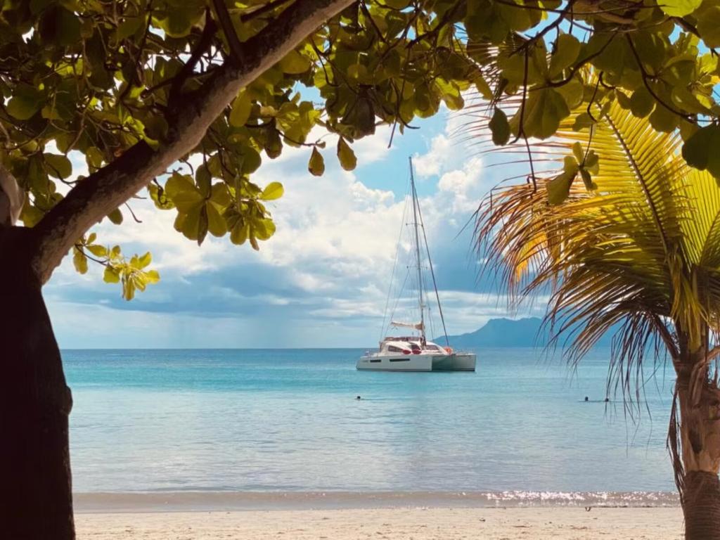 Seyscapes Yacht Charter Cirrus - Foto 4