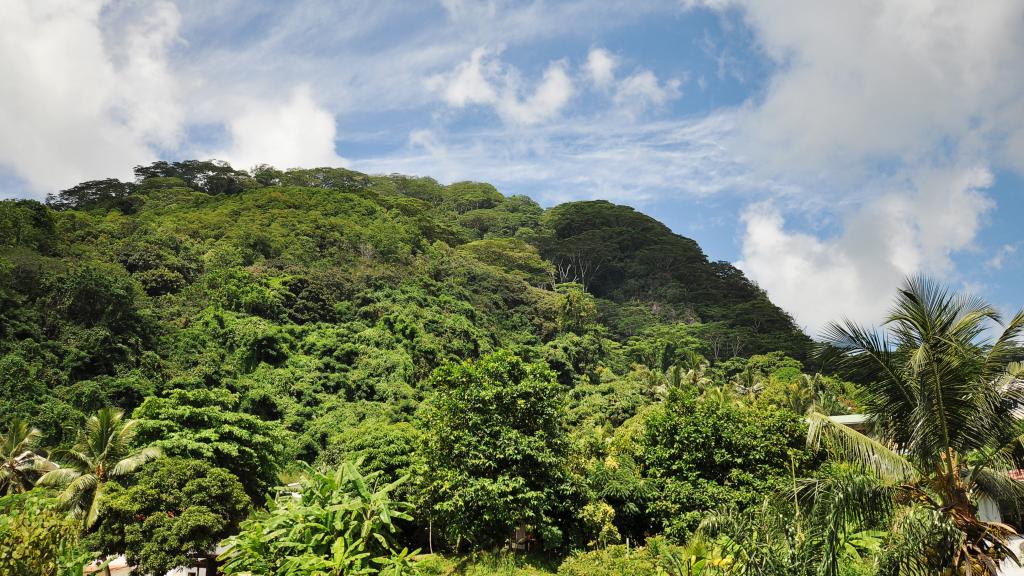 Foto 36: Hanneman Holiday Residence - Mahé (Seychelles)