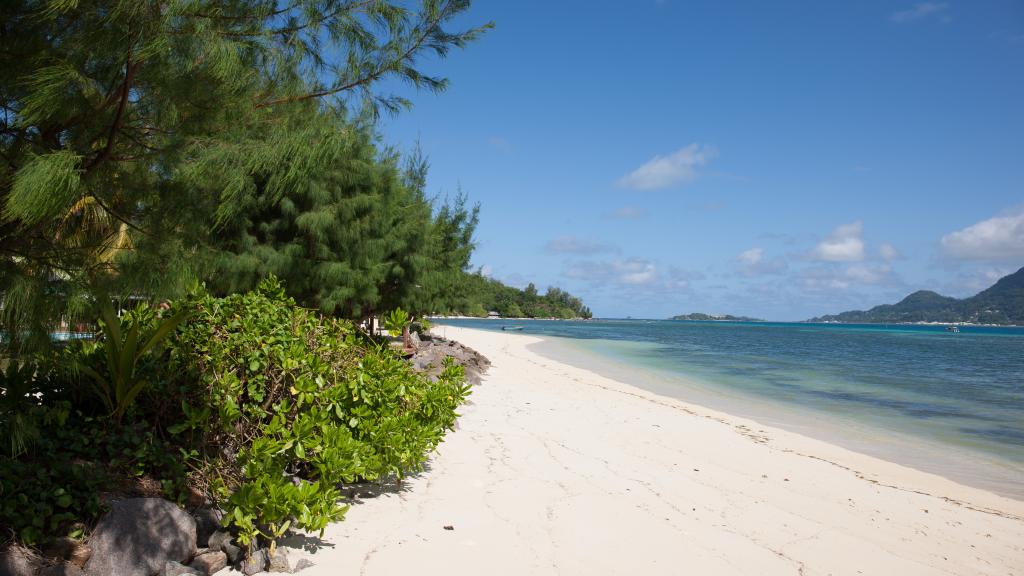 Photo 71: L'Habitation - Cerf Island (Seychelles)