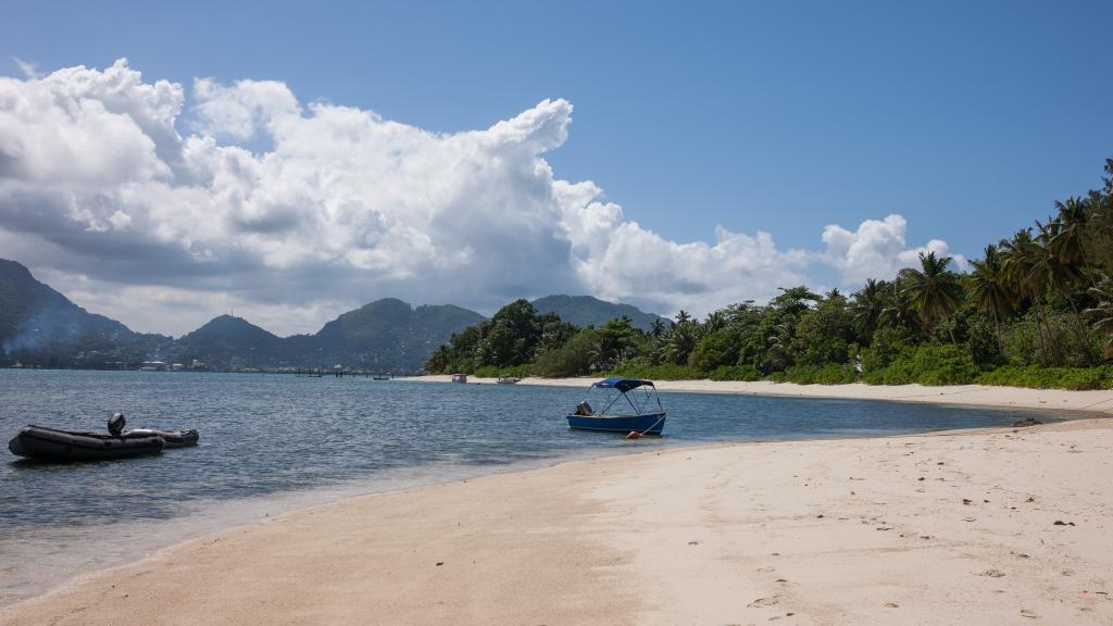 Photo 72: L'Habitation - Cerf Island (Seychelles)