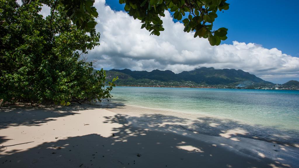 Photo 73: L'Habitation - Cerf Island (Seychelles)