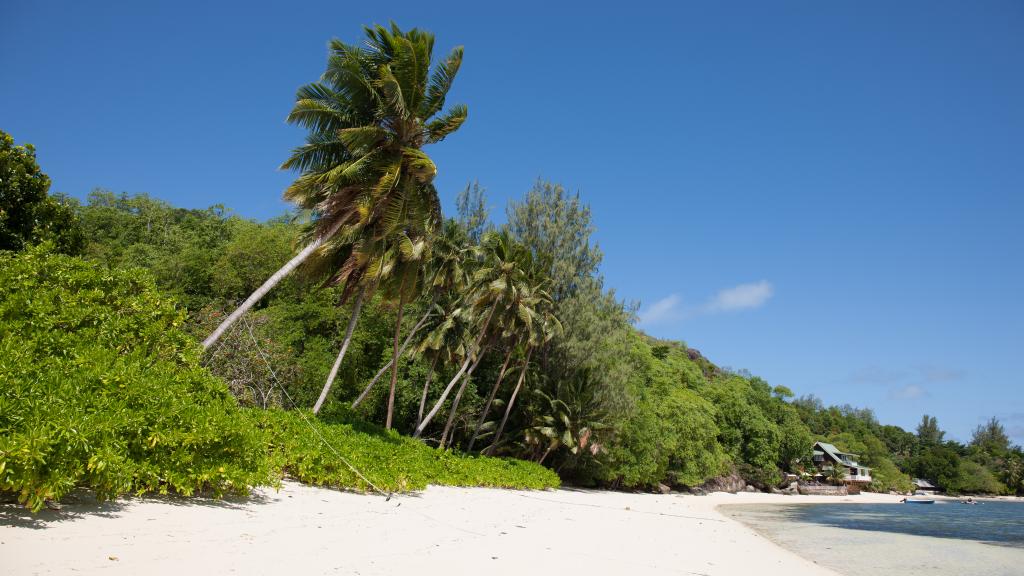 Photo 75: L'Habitation - Cerf Island (Seychelles)