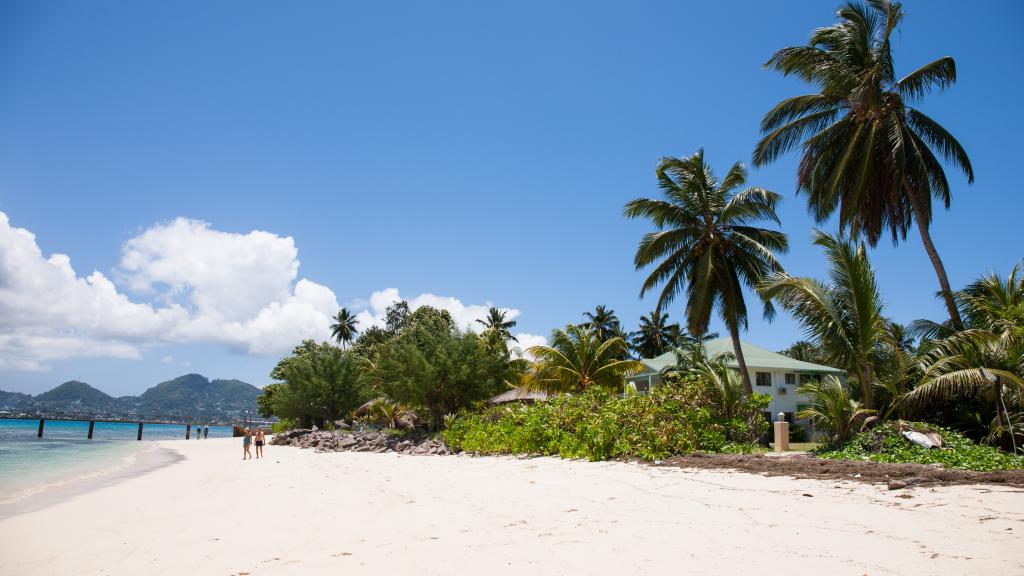 Photo 76: L'Habitation - Cerf Island (Seychelles)