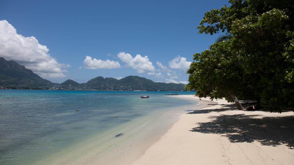 Photo 78: L'Habitation - Cerf Island (Seychelles)