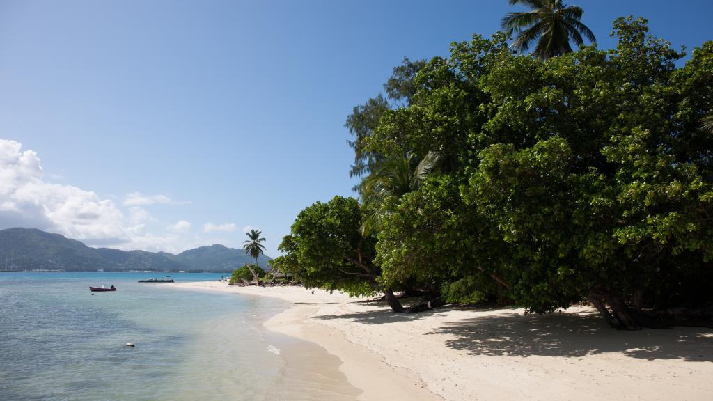 Photo 80: L'Habitation - Cerf Island (Seychelles)