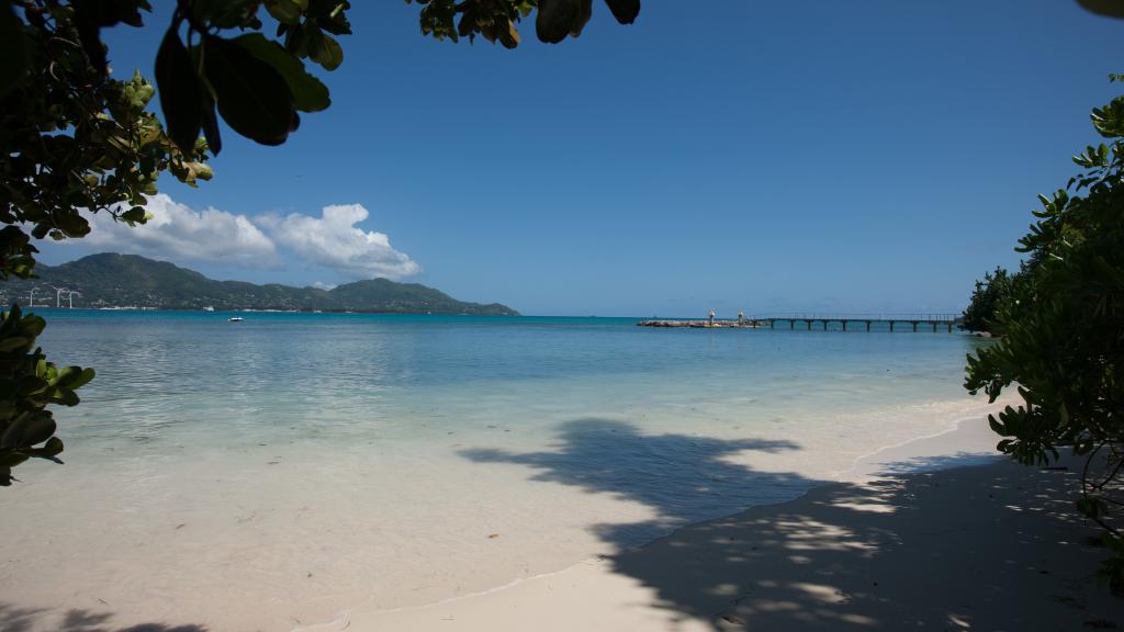 Photo 79: L'Habitation - Cerf Island (Seychelles)