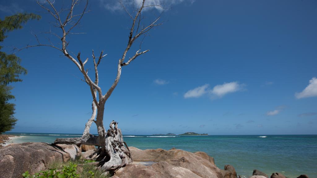 Foto 39: Castello Beach Hotel - Praslin (Seychelles)