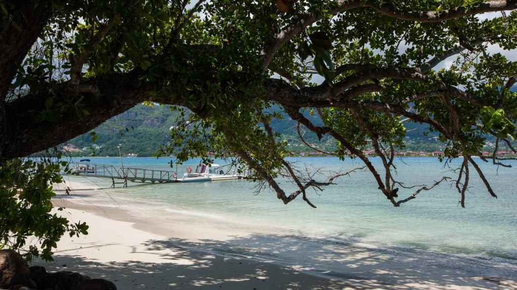 Foto 50: Surf Tropical Villa (Takamaka Beach Villas) - Cerf Island (Seychelles)