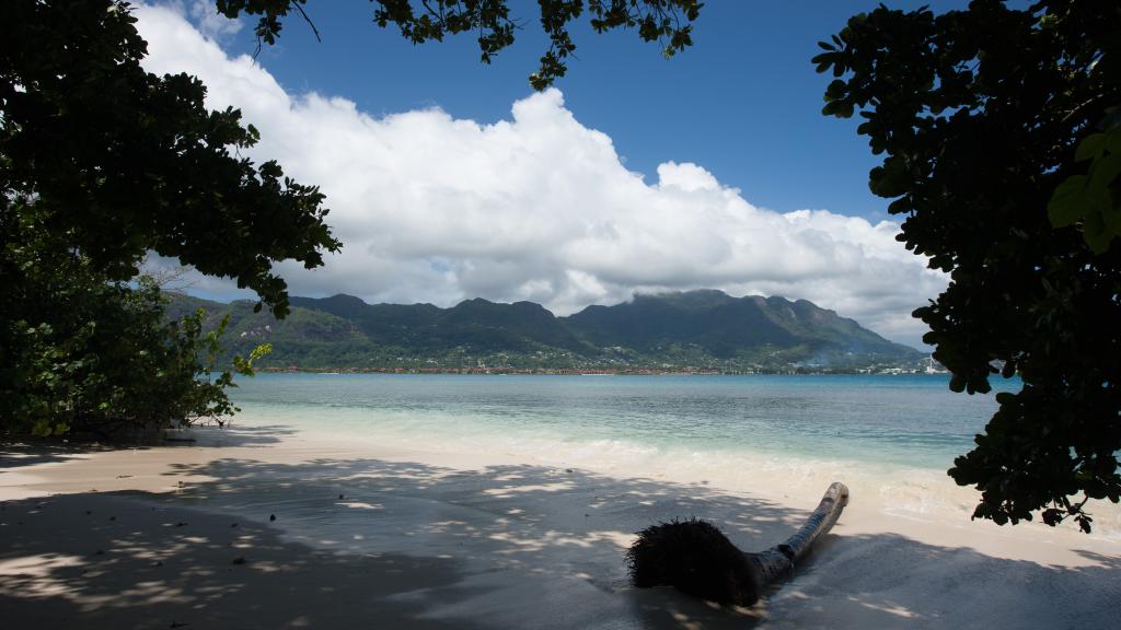 Photo 65: Surf Tropical Villa (Takamaka Beach Villas) - Cerf Island (Seychelles)