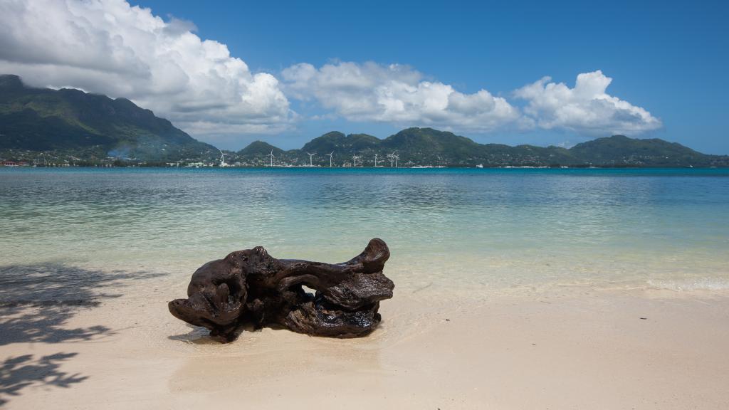 Photo 15: Surf Tropical Villa (Takamaka Beach Villas) - Cerf Island (Seychelles)