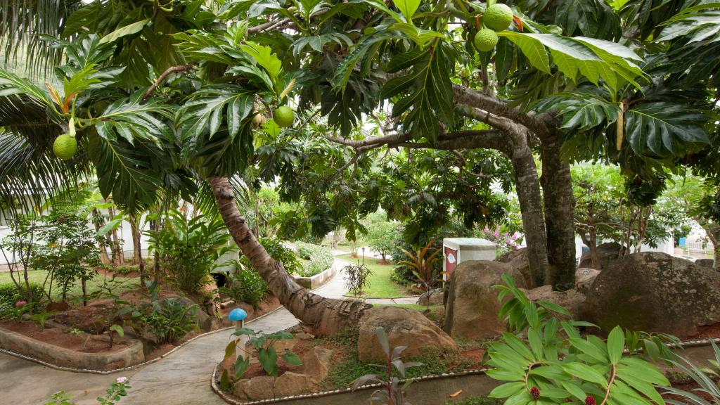 Photo 13: Sea View Lodge - Praslin (Seychelles)