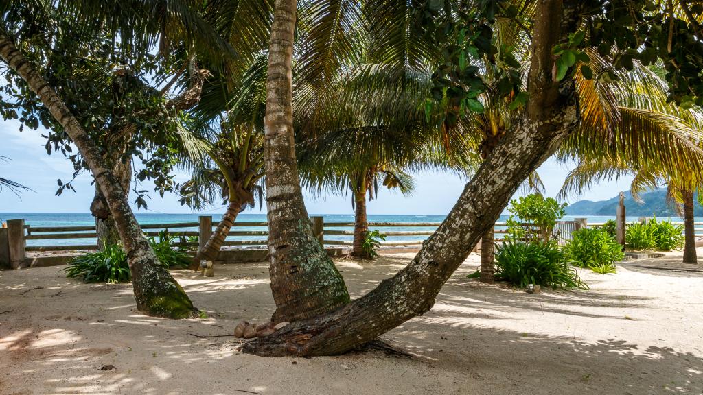 Photo 17: Fleur de Sel - Mahé (Seychelles)