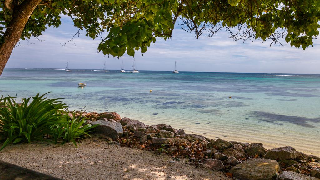 Foto 28: Fleur de Sel - Mahé (Seychellen)