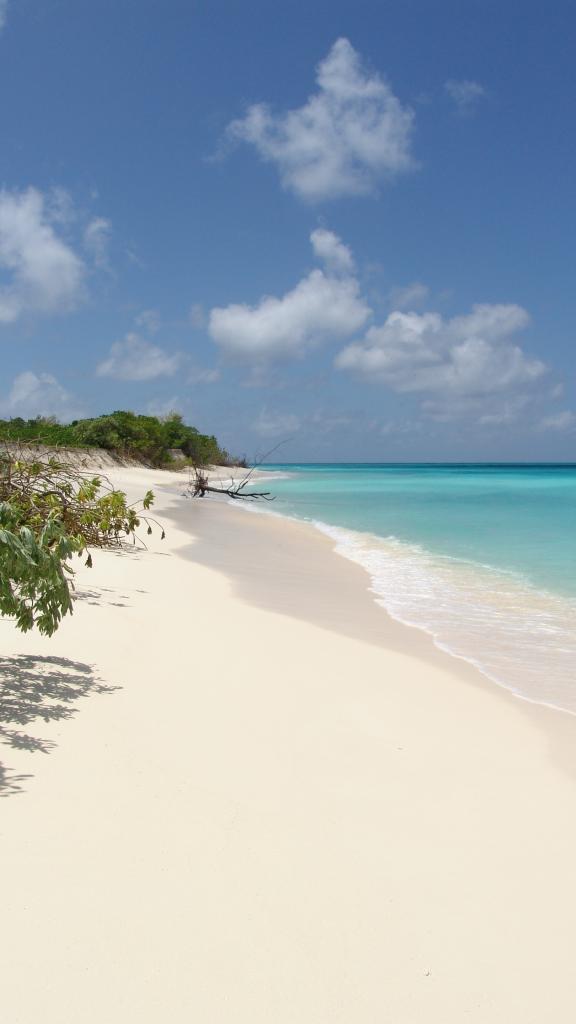 Foto 12: Plages de Bird Island - Autres Îles (Seychelles)