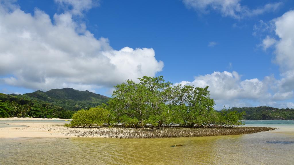 Photo 8: Anse Boileau - Mahé (Seychelles)