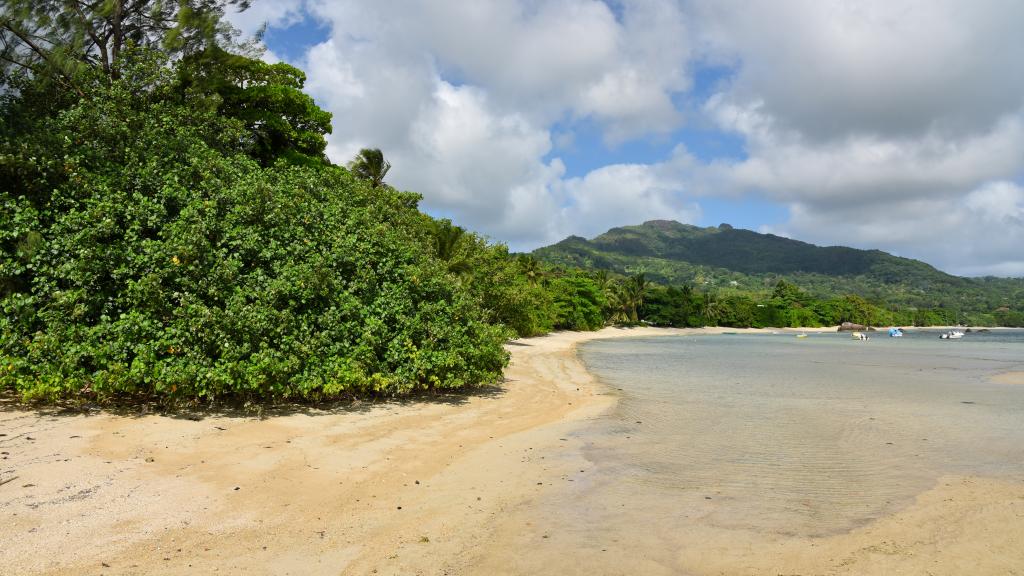 Photo 12: Anse Boileau - Mahé (Seychelles)