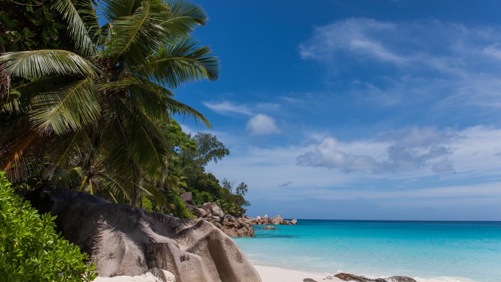 Photo 4: Anse Georgette - Praslin (Seychelles)