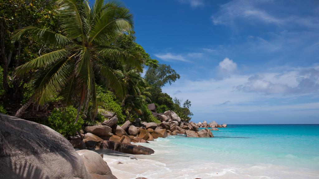 Photo 9: Anse Georgette - Praslin (Seychelles)