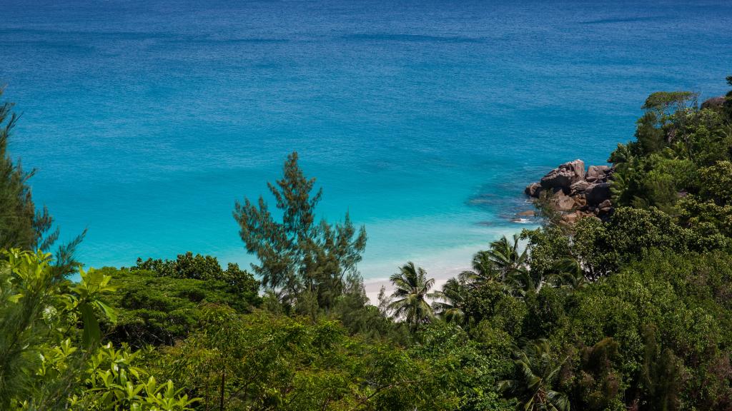 Photo 11: Anse Georgette - Praslin (Seychelles)